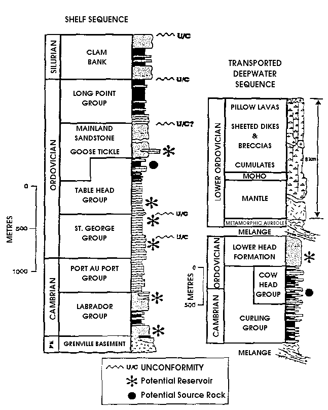Strategraphic Column